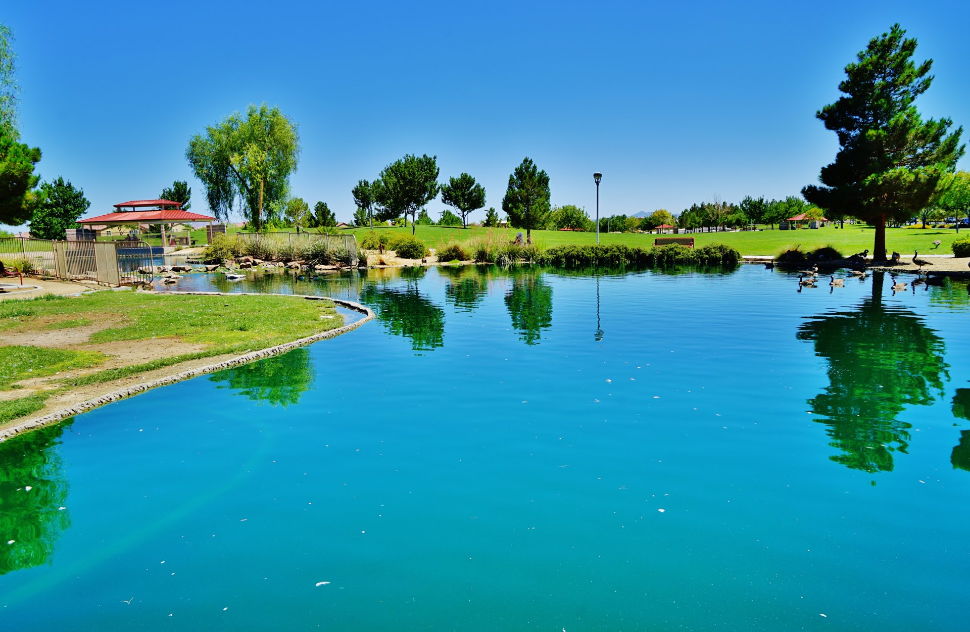 Aliante Nature Discovery Park · archival photograph, 2015
